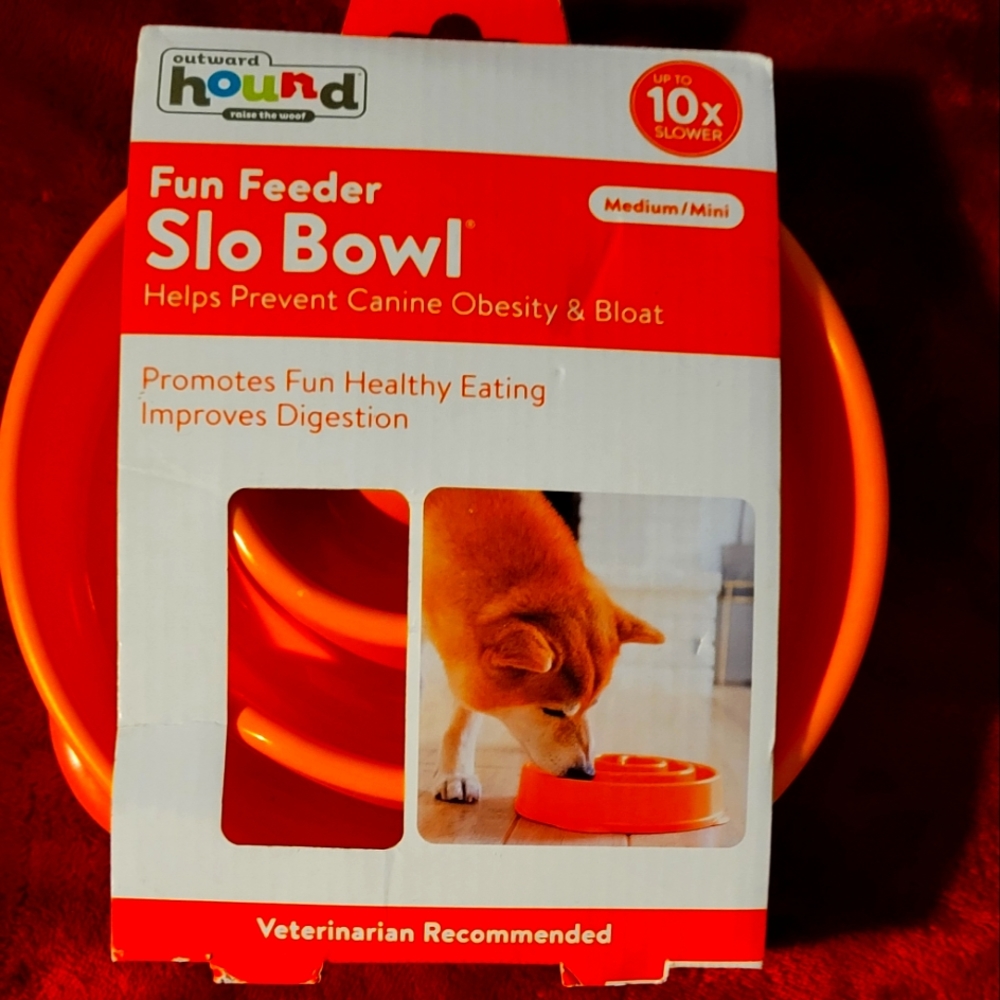 Canine fun feeder